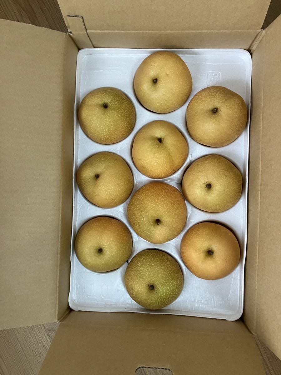 ふるさと納税で届いた熊本県玉東町の玉東梨。箱の中に豊水が10玉並んでいる